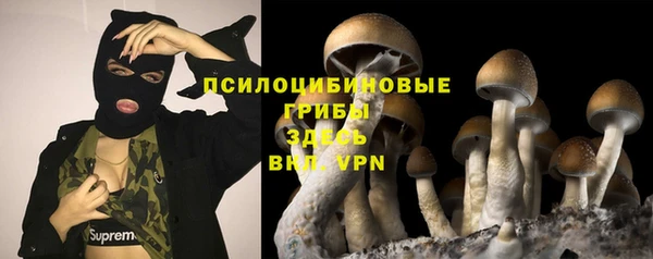 ешки Волоколамск