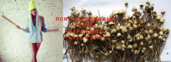 ешки Волоколамск